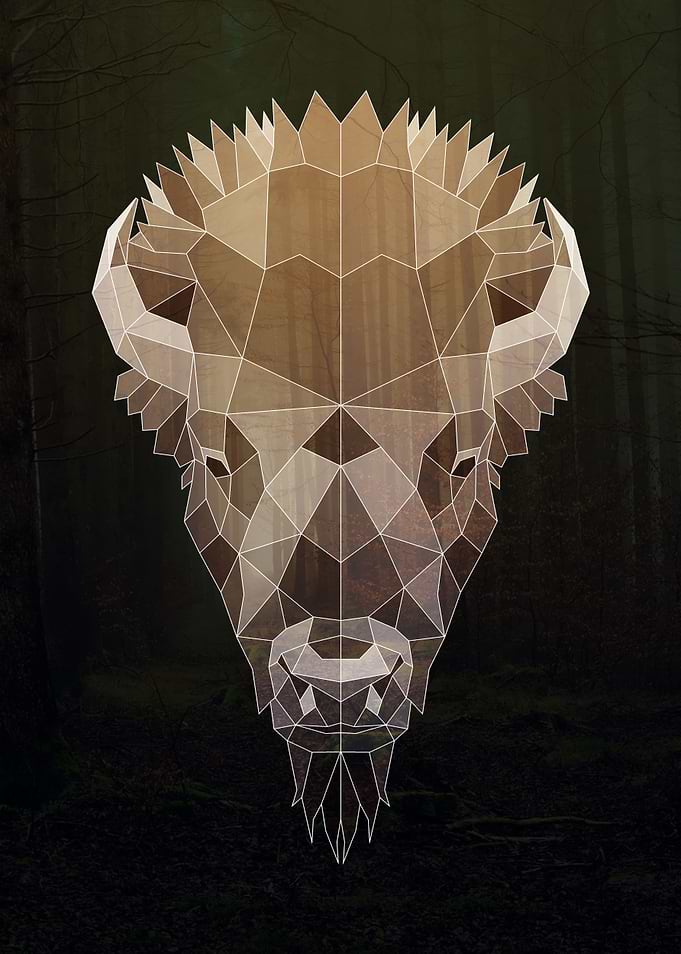 Geometric Bison