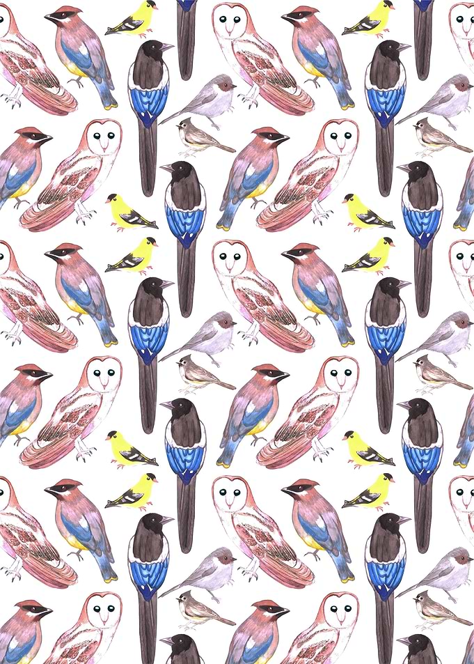 Wild birds watercolor