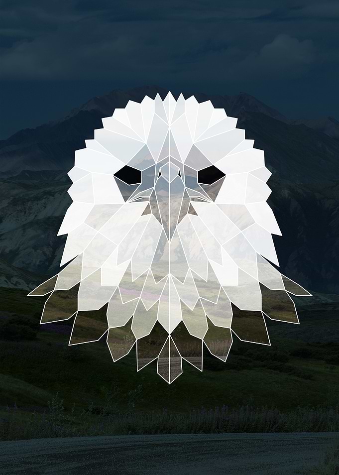 Geometric Eagle