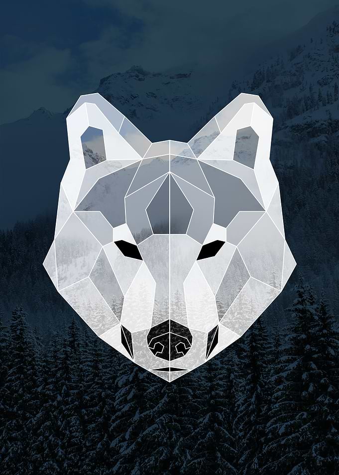 Geometric Wolf