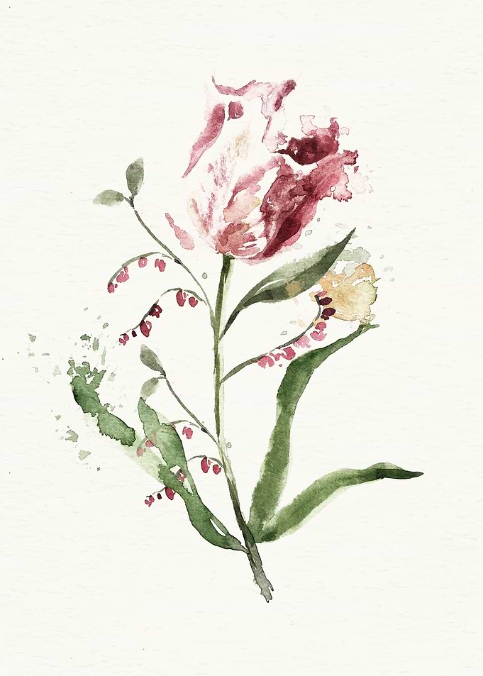 Botanical