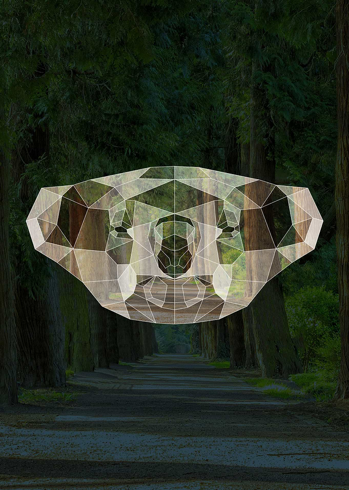 Geometric Koala