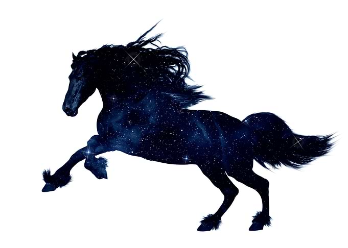 star horse