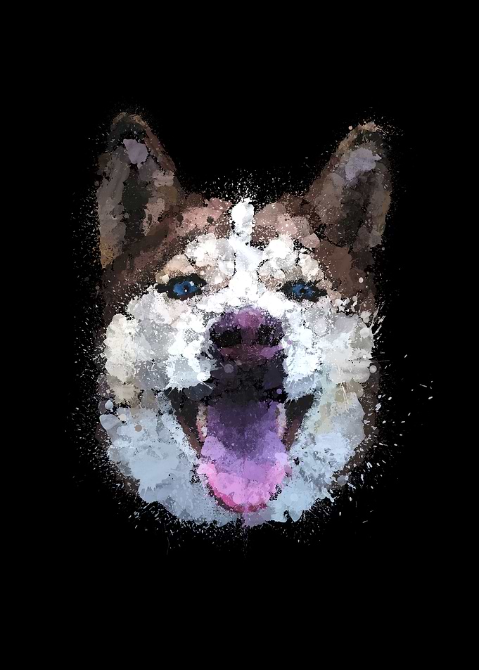 Husky Portrait