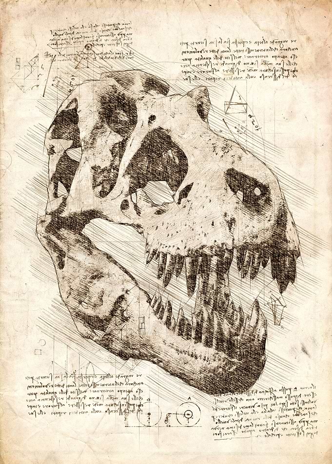 Tyrannosaurus Rex Skull