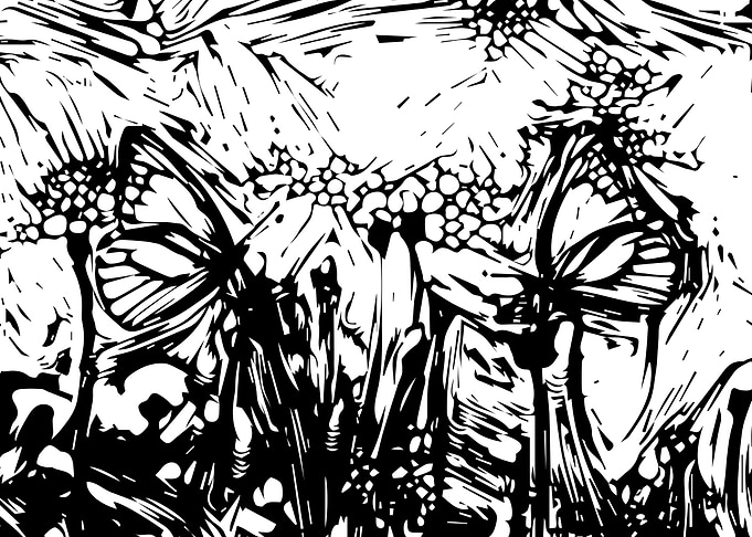Butterflys