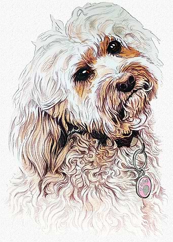 POODLE PORTRAIT