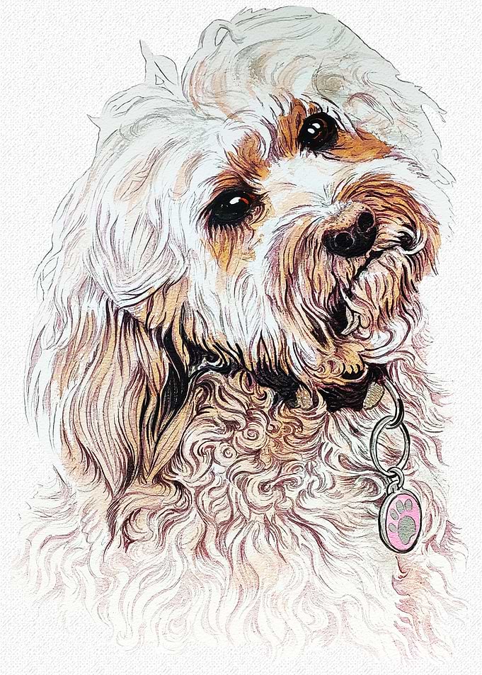 POODLE PORTRAIT
