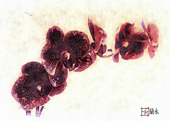 Orchids Eternal I