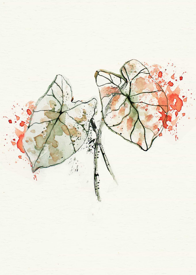 Botanical