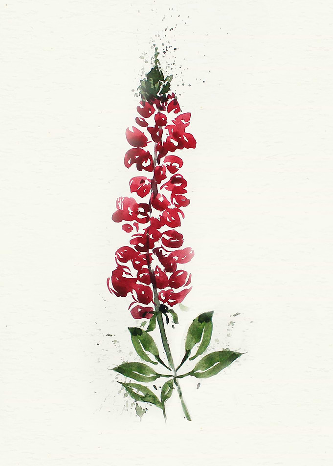 Botanical