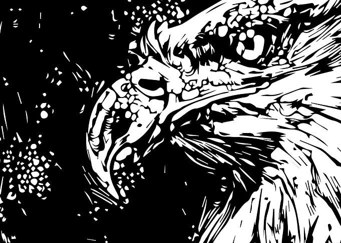 Eagle eye