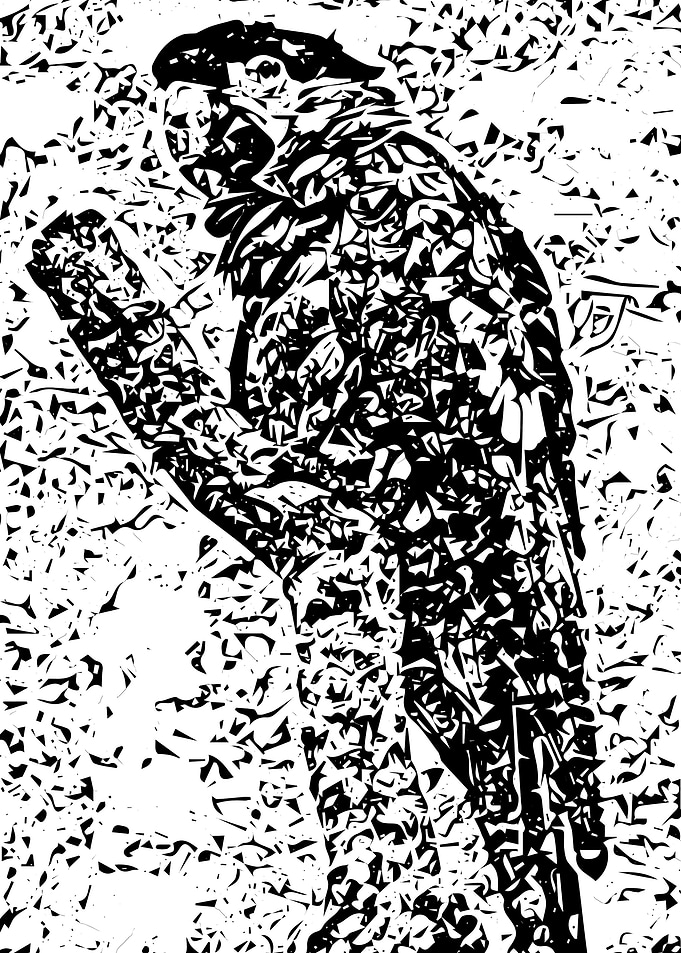 Parrot