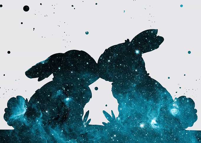 Bunnies in love