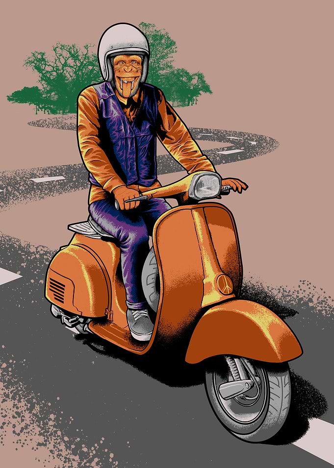 Riding monkey