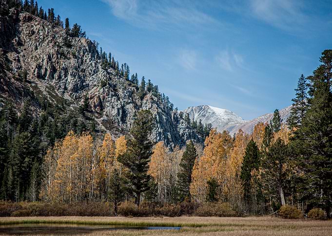 Yost Meadow in Fall
