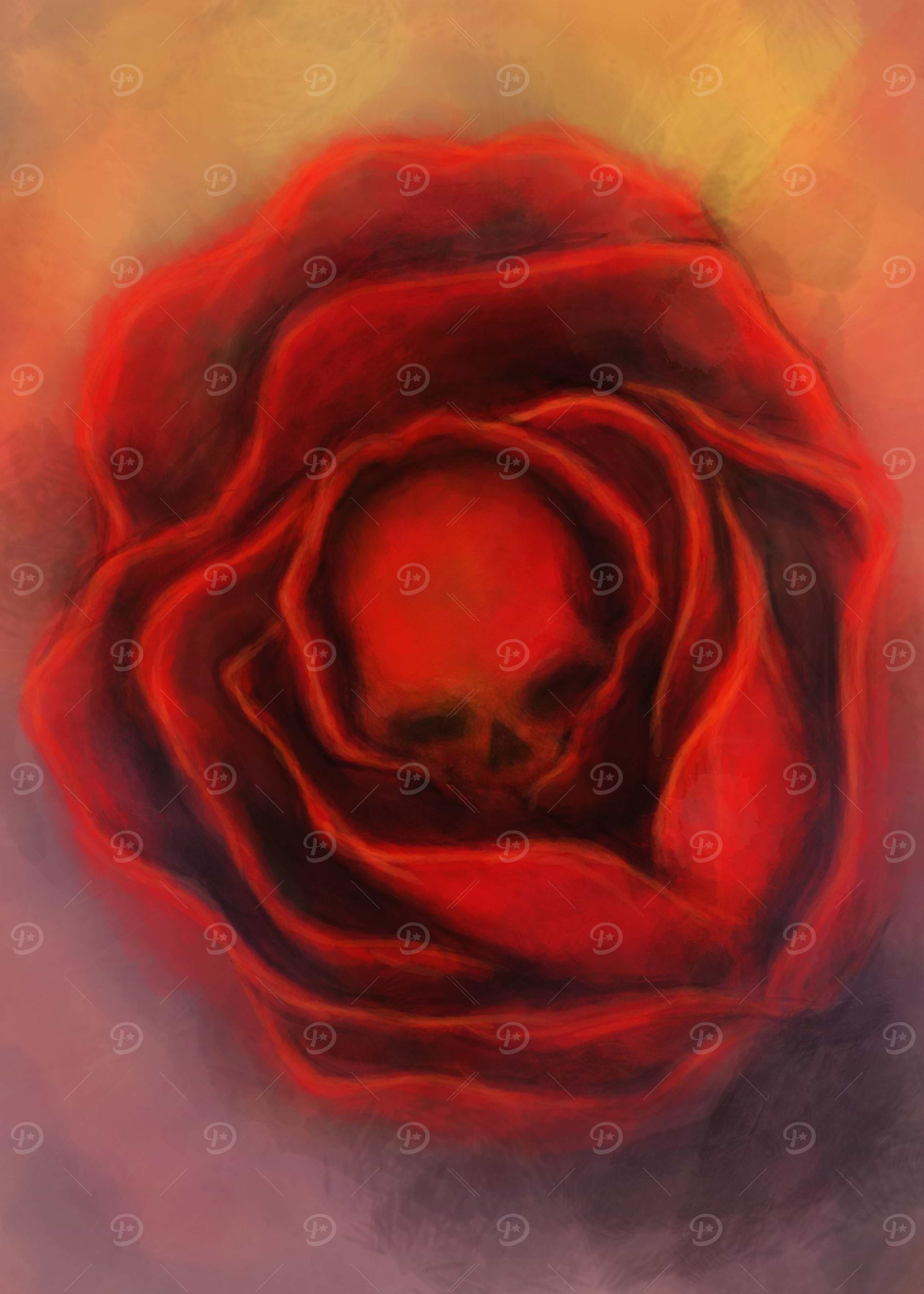 Skull And The Rose
