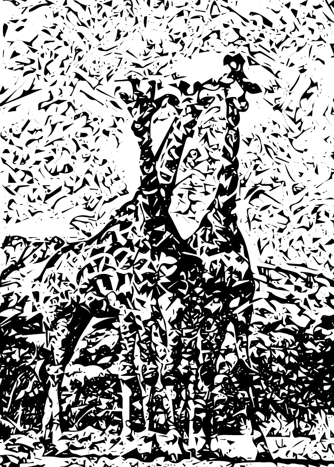 Giraffes