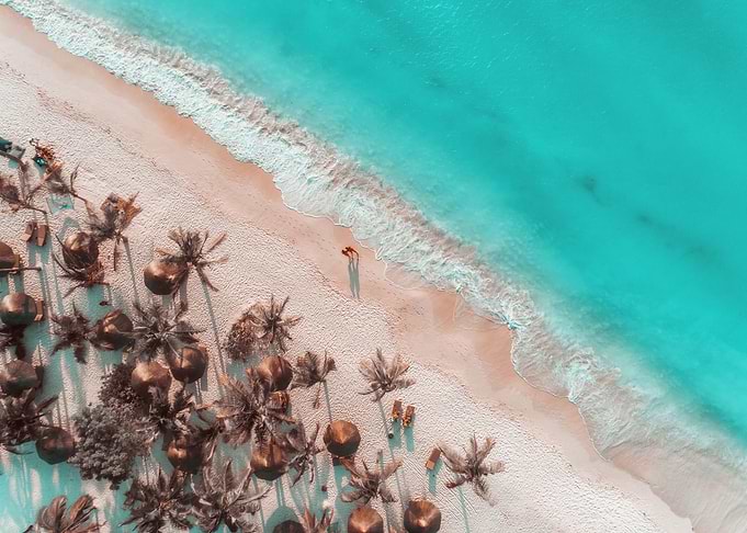 Tropical Beach Aerial View