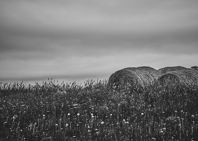 Haystacks