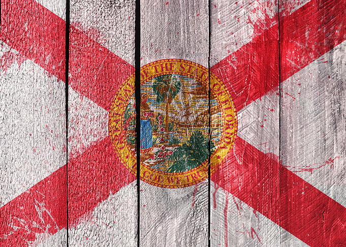 FLORIDA FLAG