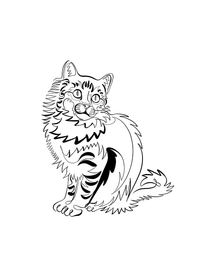 Continuous line illustrati