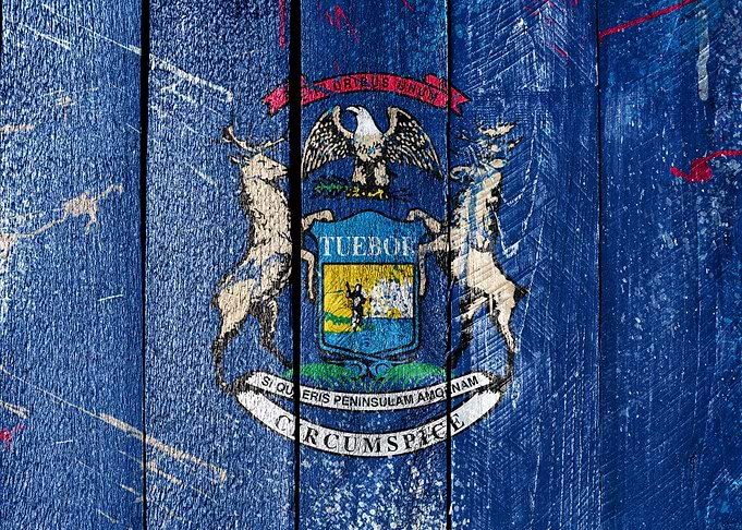 MICHIGAN FLAG