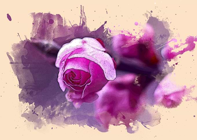 FLOWER WALLPAPER