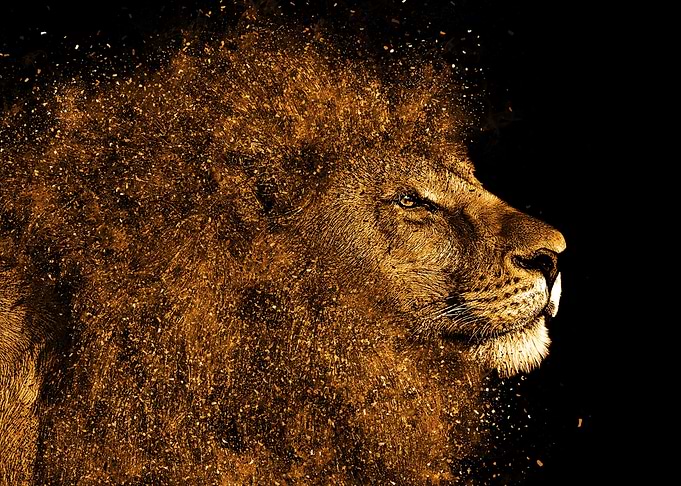 King Lion