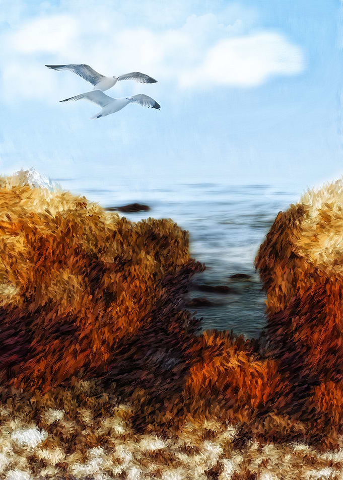 Coastal Flight