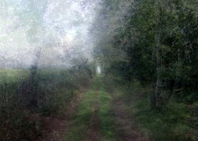 Woolwell trackway