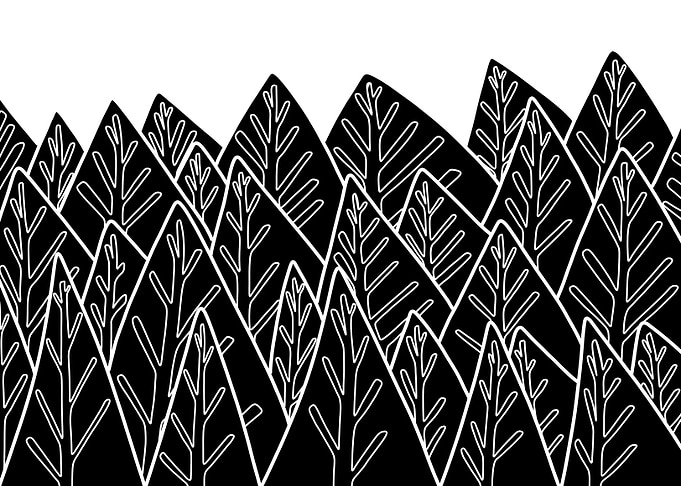 The dark forest