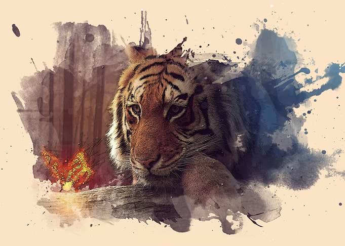 TIGER WALLPAPER