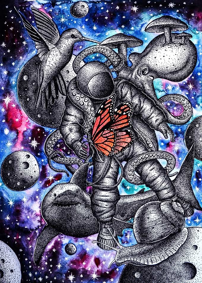 Nebula Stroll