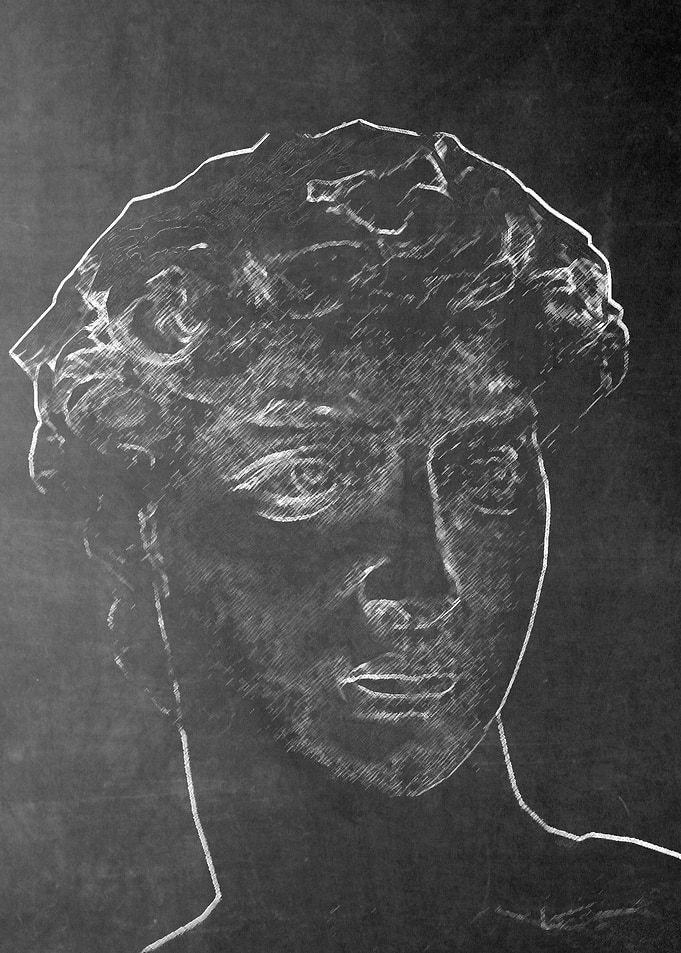 david