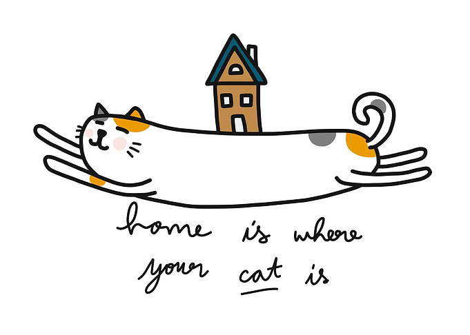 Home is where your cat is