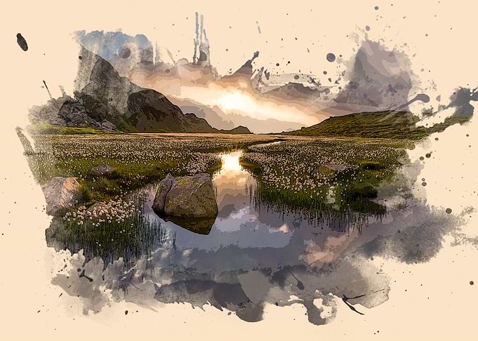 LANDSCAPS