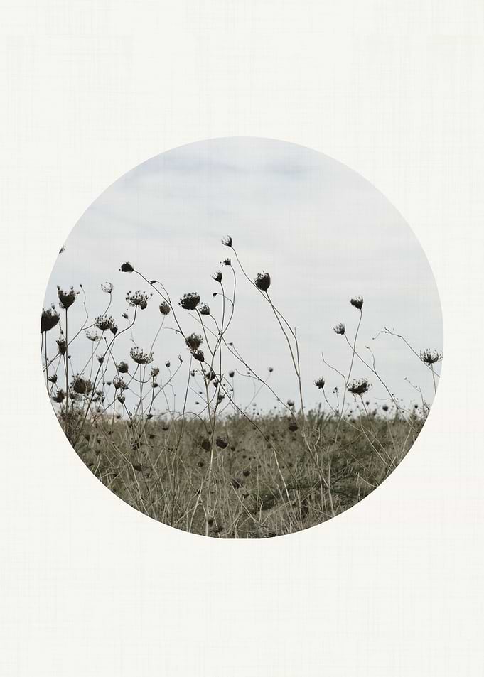 Circular Landscape Field