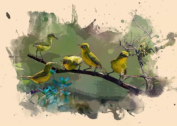 animals