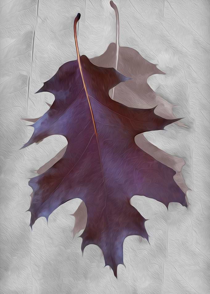 Dance of Autumn