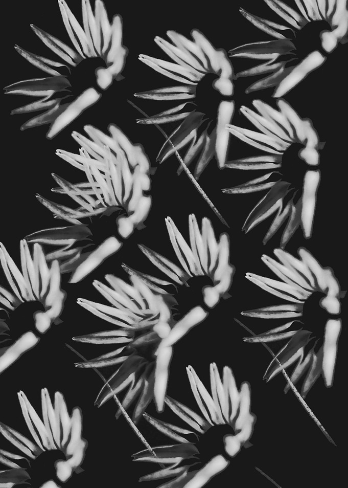 Floral pattern
