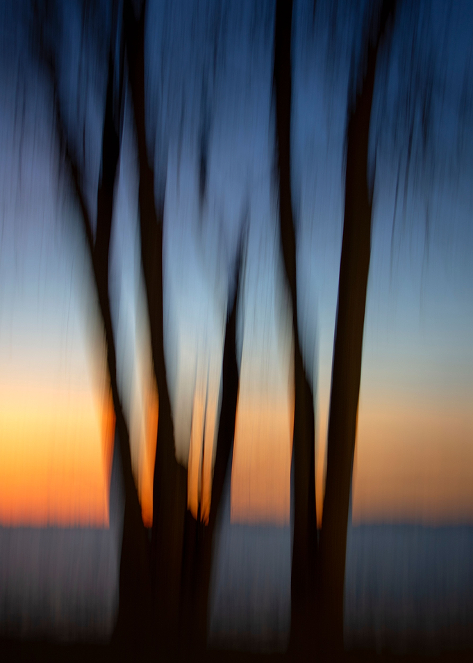 Blurred motion trees