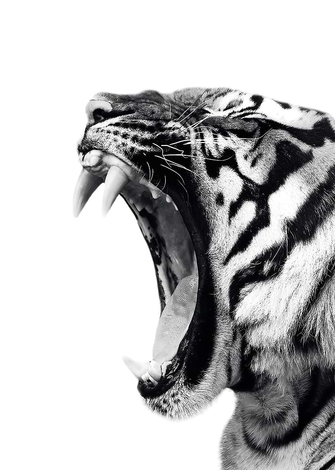wild roar tiger poster 2