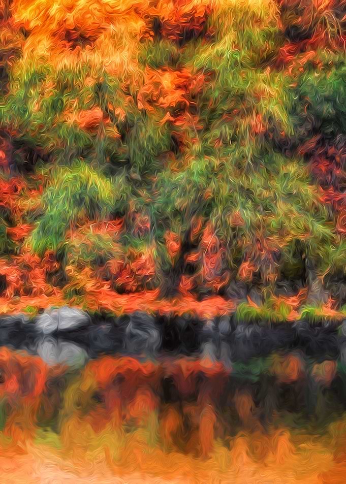 Autumn Reflections