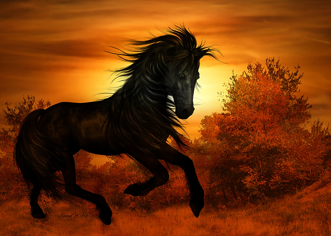 Spirit of the Horse