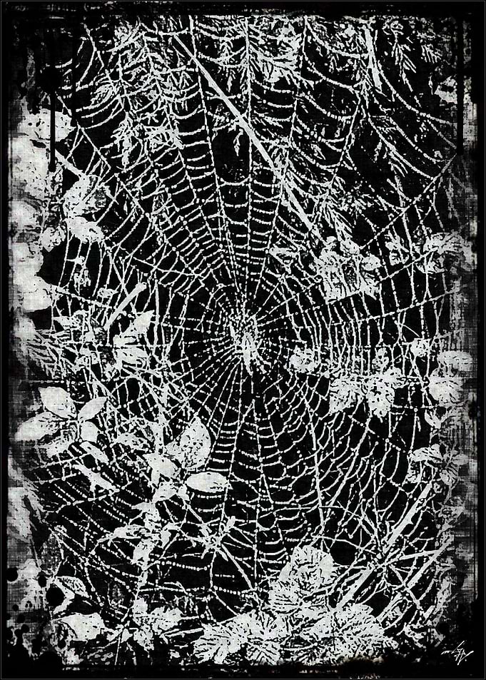 Damask Spiderweb