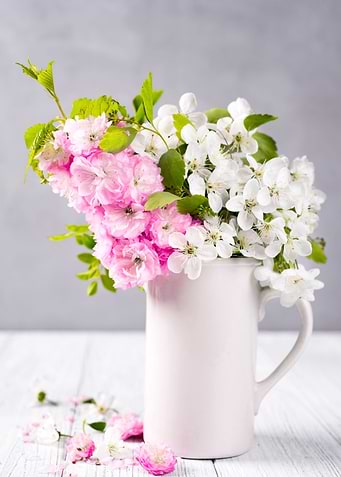 beautiful spring flowers