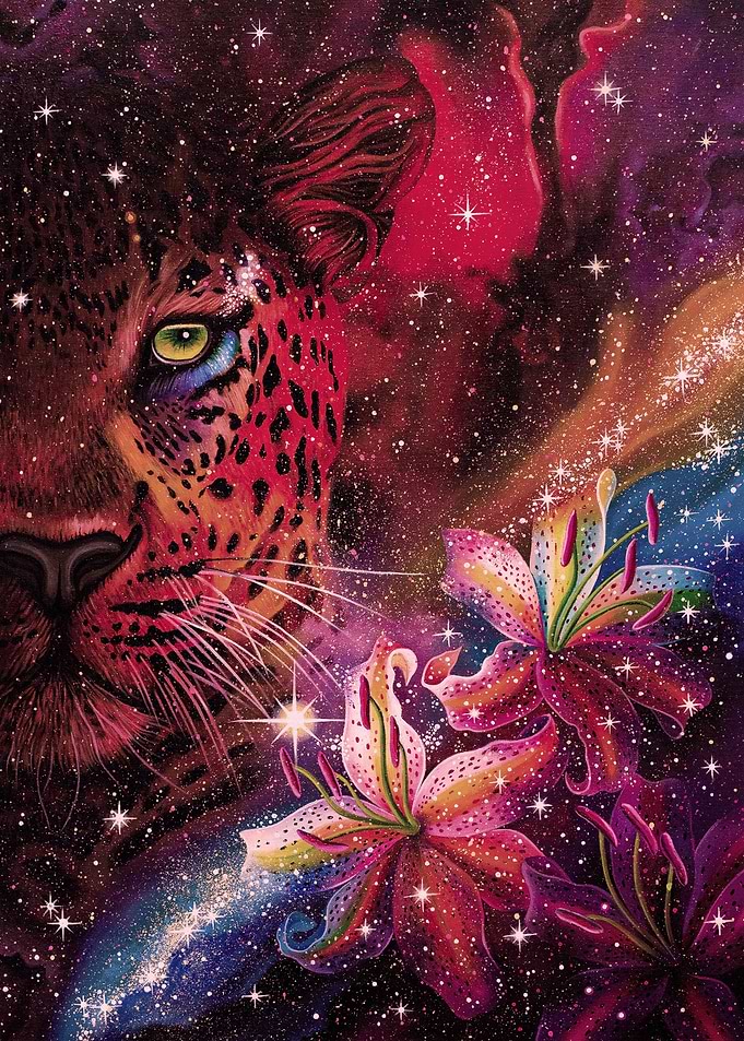 Nature of the Universe