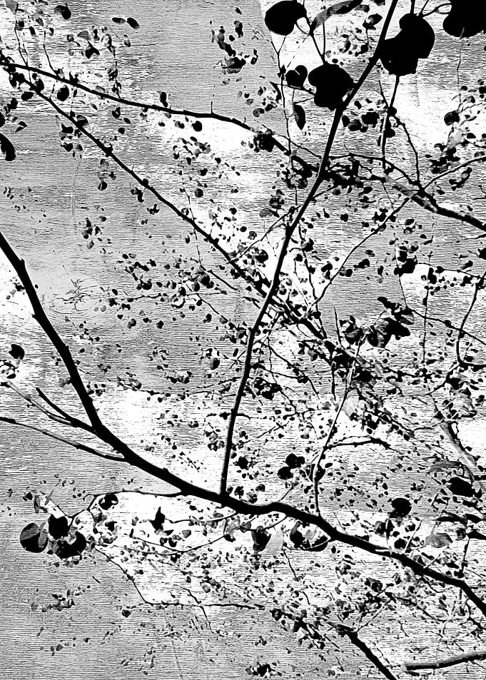 Abstract art vs z
