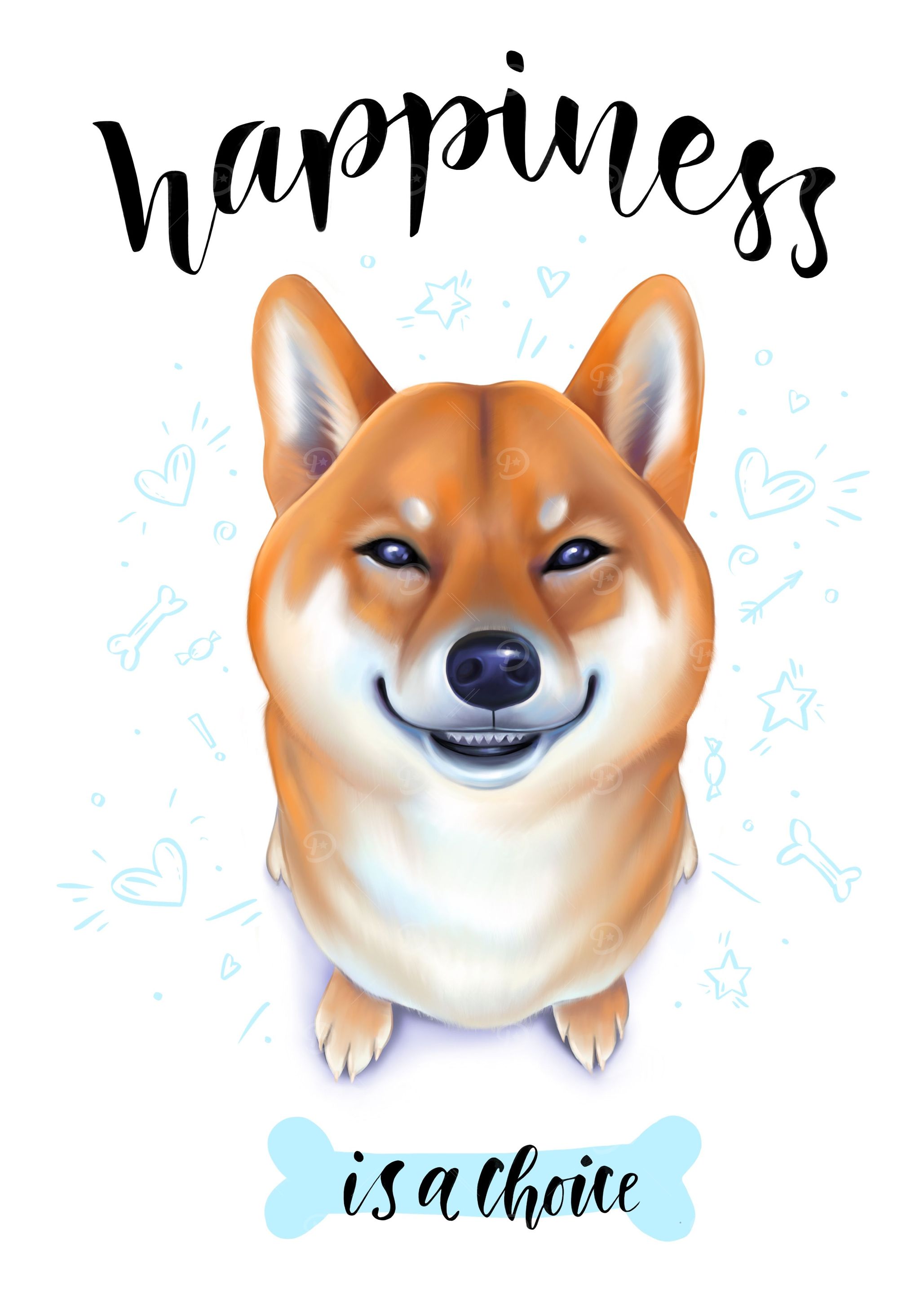 Cute Shiba Dog